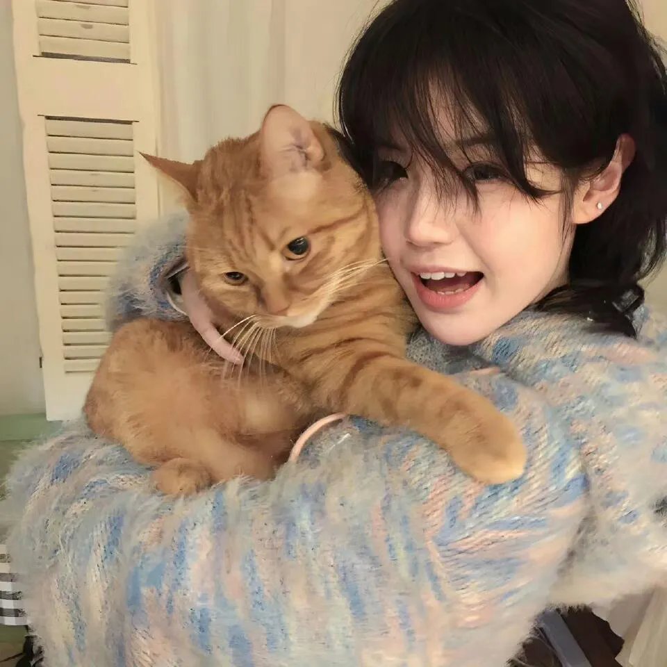 大雄的宇宙开拓史